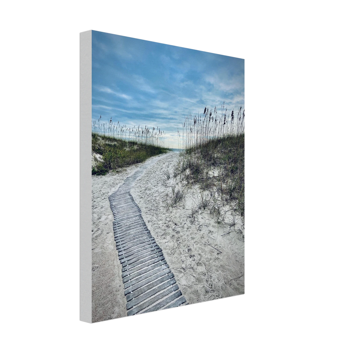 13b014e1-2fe7-499e-b164-1e755a5b2da2