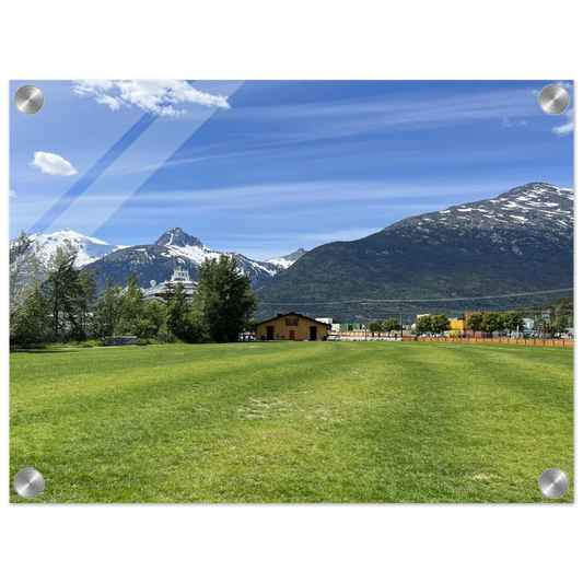 afaa94d5-8d85-4378-9820-d53a54aac755